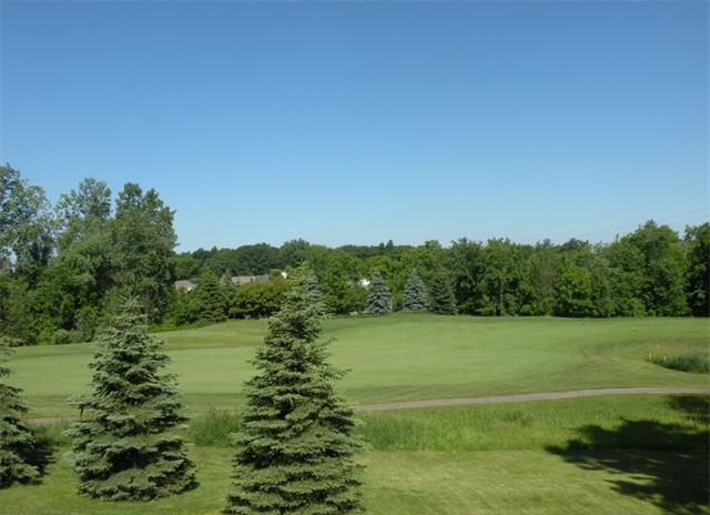 Homes for sale in The Heights Rochester MI 